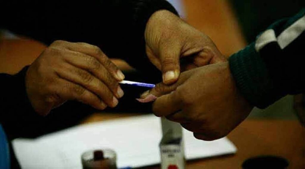 The elections will be held in two phases on October 6 and October 9 in nine districts - Kancheepuram, Chengalpet, Vellore, Ranipet, Tiruppatur, Villupuram, Kallakurichi, Tirunelveli and Tenkasi.